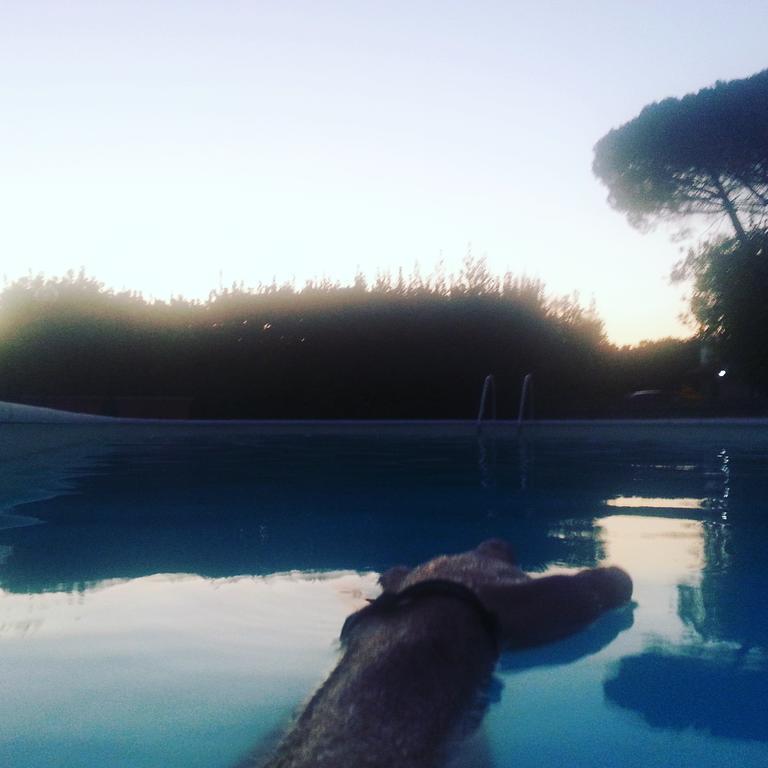 Agriturismo Casale Zuccari Капрарола Екстериор снимка